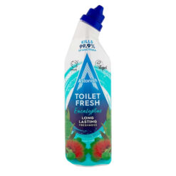 Astonish Toilet Fresh Gel Eucalyptus 750ml